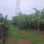 Bán đất thổ mặt tiền kênh Trạm Bom 6×29m Hòa Phú Long An - Ảnh thu nhỏ 3