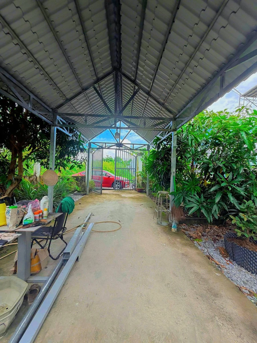 Bán mảnh vườn cây trái 300m2 Nguyễn Văn Lang, Tân Thành - Ảnh thu nhỏ 2