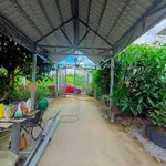 Bán mảnh vườn cây trái 300m2 Nguyễn Văn Lang, Tân Thành - Ảnh thu nhỏ 2