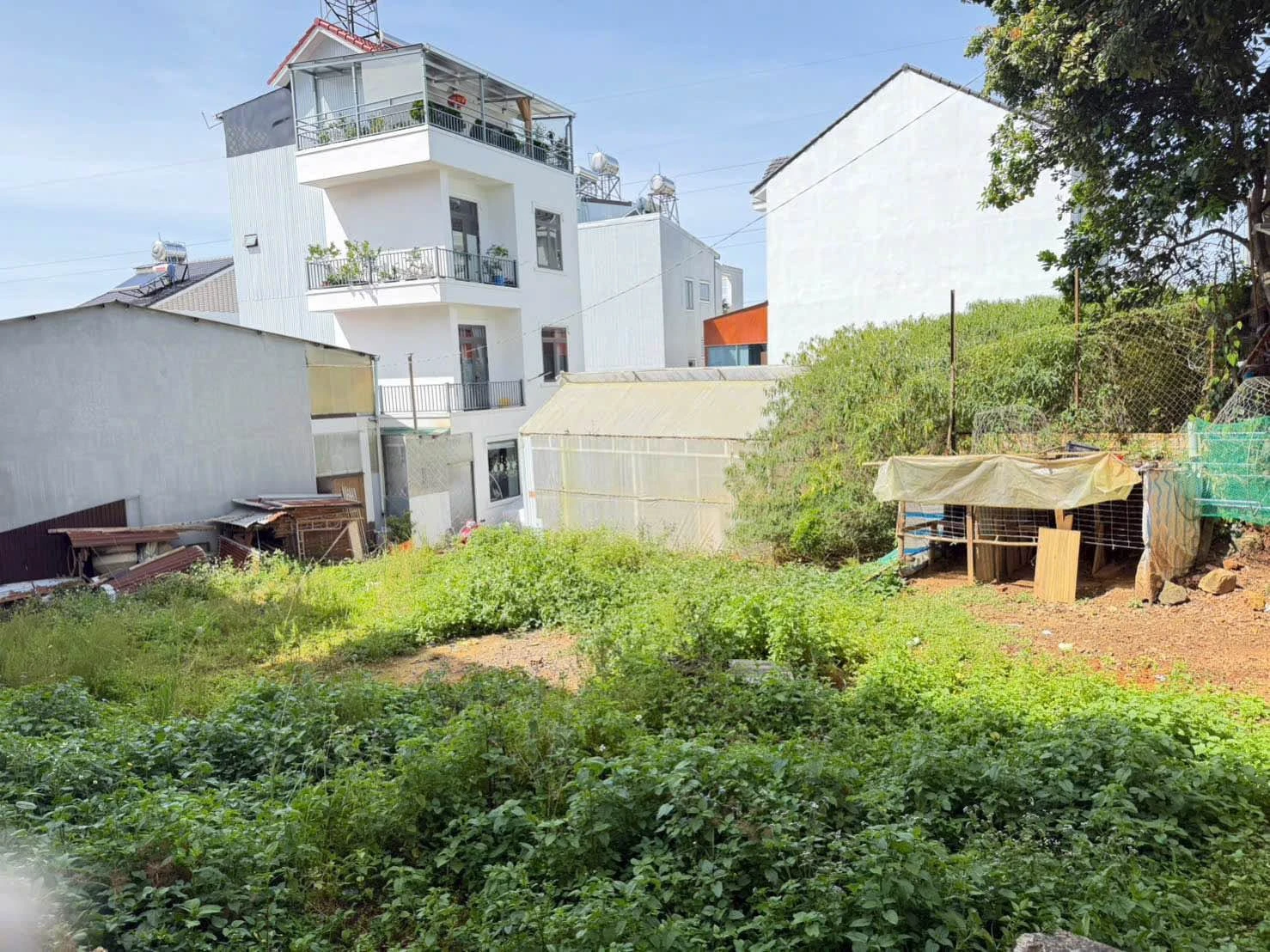 Bán đất 55m² tại Thái Phiên, Đà Lạt, giá 1 tỷ 350 triệu - Ảnh 1