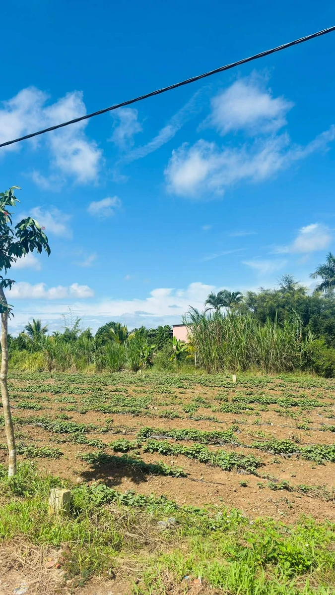 Bán đất 72m² tại Kim Phát, Đức Trọng 4 tỷ - Ảnh thu nhỏ 2