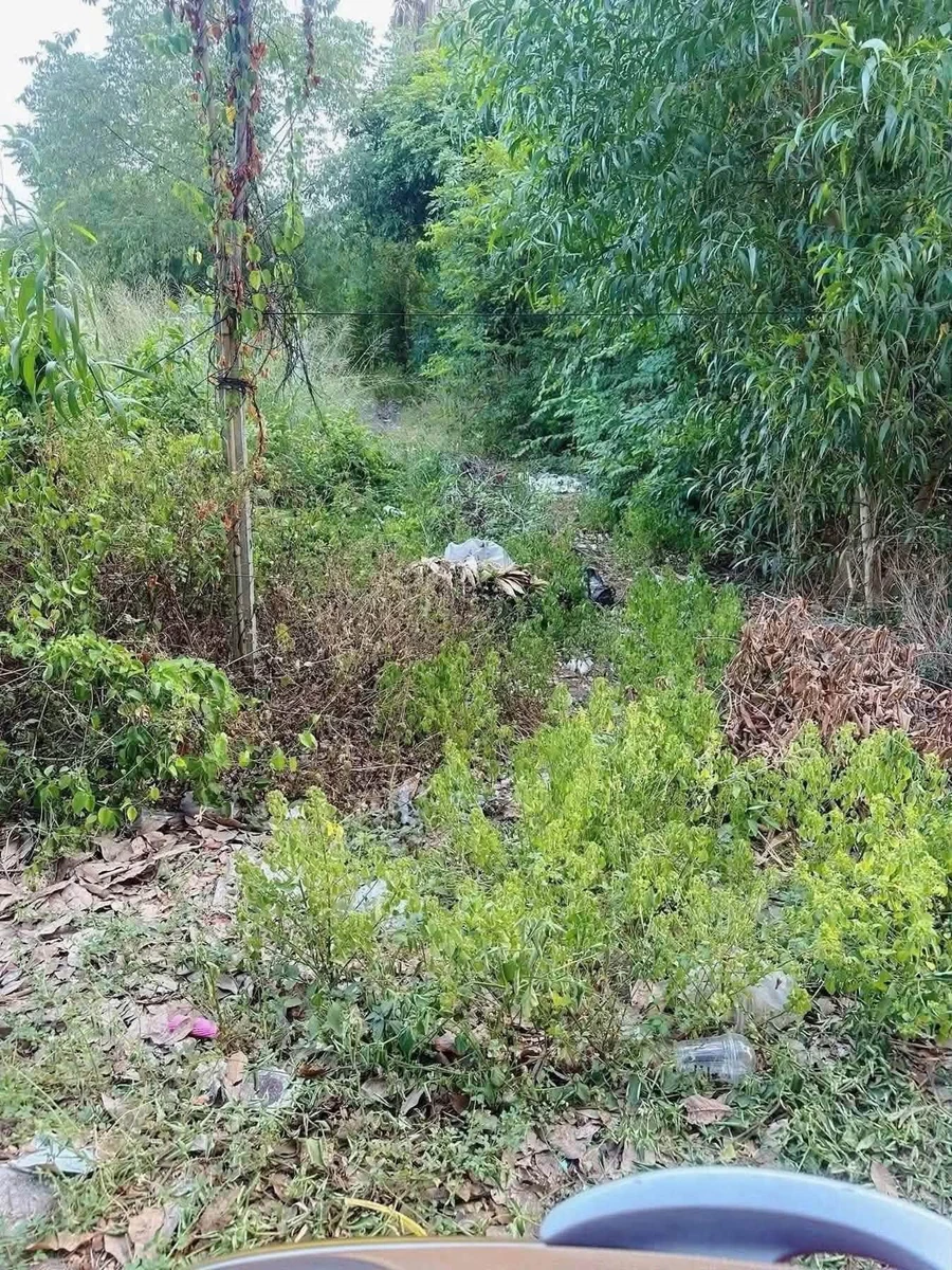 Bán lô đất Phú An Bình Dương 3 tỷ 500 - Ảnh thu nhỏ 3