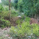 Bán lô đất Phú An Bình Dương 3 tỷ 500 - Ảnh thu nhỏ 3