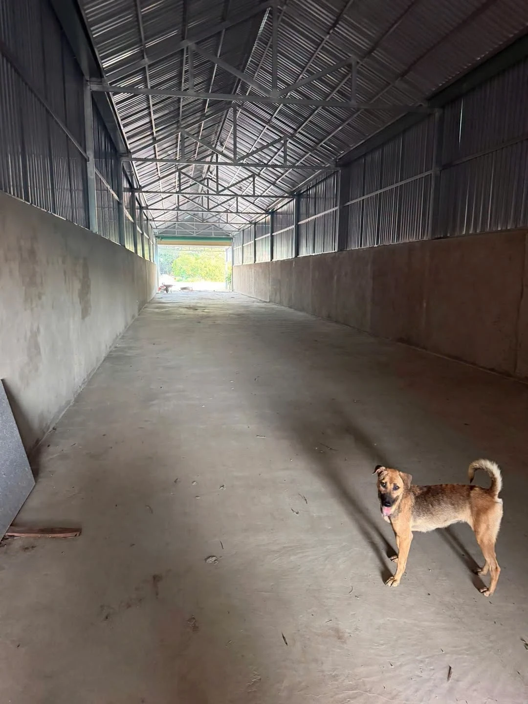 Bán lô đất 600m² Tân Thành Đồng Xoài Bình Phước 1.6 tỷ - Ảnh 1