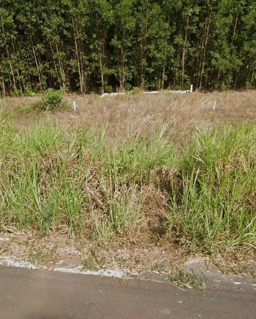 Bán đất Láng Dài, Đất Đỏ 180m2 mặt tiền 750 triệu - Ảnh thu nhỏ 3