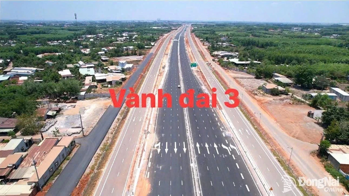 Bán đất 500m² thổ cư Nhơn Trạch Đồng Nai, 20tr/m² - Ảnh thu nhỏ 4