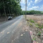 Bán đất 192m² gần KCN Mỹ Phước 2, đường Mỹ Phước – Tân Vạn, Bình Dương - Ảnh thu nhỏ 3