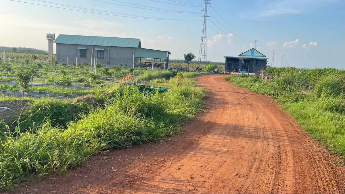Bán đất trên 500m2 Tây Ninh giá từ 200 triệu - Ảnh thu nhỏ 3