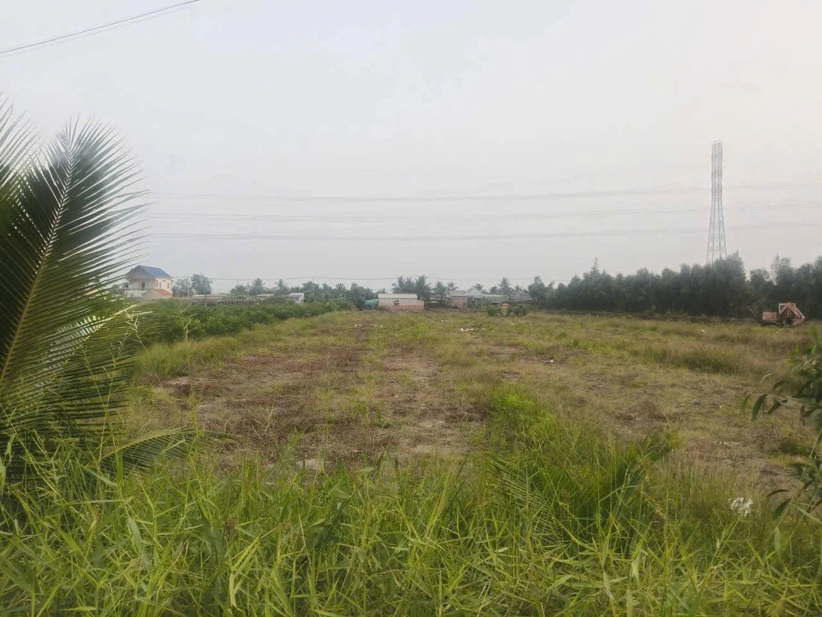 Bán lô đất vườn 3000m² mặt kênh, Bến Lức, Long An - Ảnh thu nhỏ 3