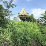 Bán nền 271m² gần Cầu Bạch Ngựu, Cà Mau 590 triệu - Ảnh thu nhỏ 3