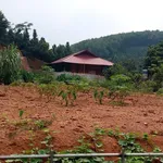 Bán đất xóm Bồ Đề, Phường Nam Cường, Tỉnh Lào Cai - Ảnh thu nhỏ 1