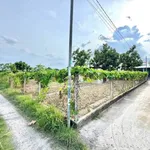 Bán đất 489m² Mỹ Lộc, Tây Ninh - 1 tỷ 400 triệu - Ảnh thu nhỏ 4