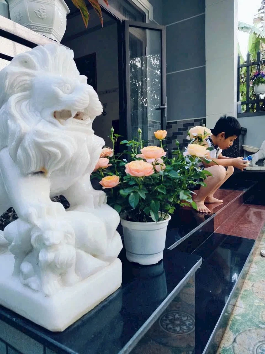 Bán nhà mái Thái 185m² Hòa Long, Bà Rịa - Ảnh thu nhỏ 4