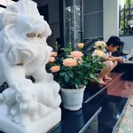 Bán nhà mái Thái 185m² Hòa Long, Bà Rịa - Ảnh thu nhỏ 4