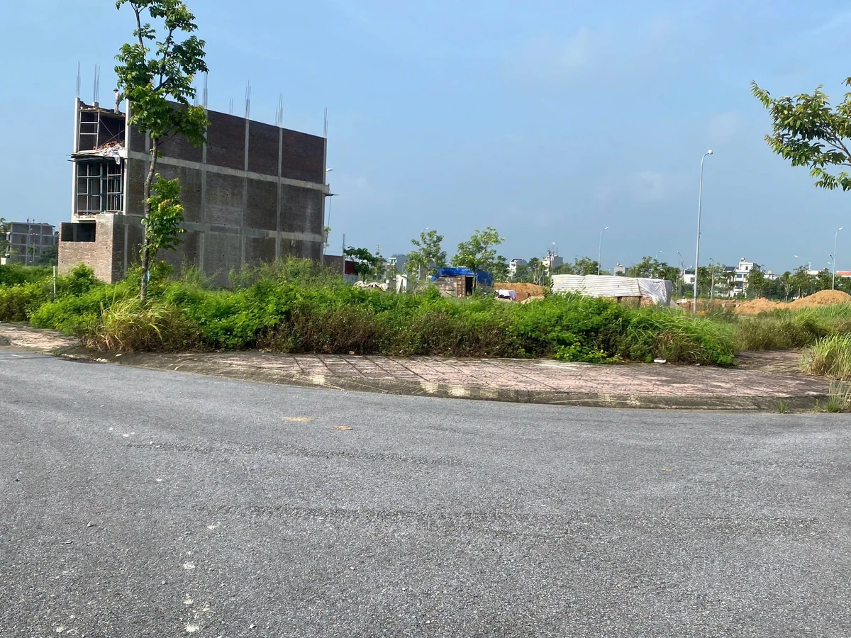 Bán lô góc 122.5m2 KĐT Nam Vĩnh Yên, 5.8 tỷ - Ảnh thu nhỏ 3