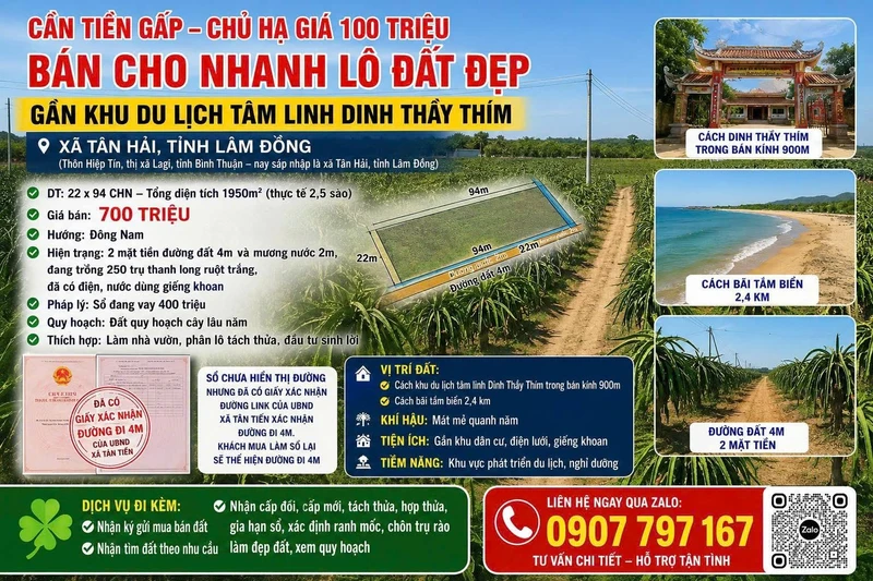 Bán lô đất 1950m² xã Tân Hải Lâm Đồng giá 700 triệu