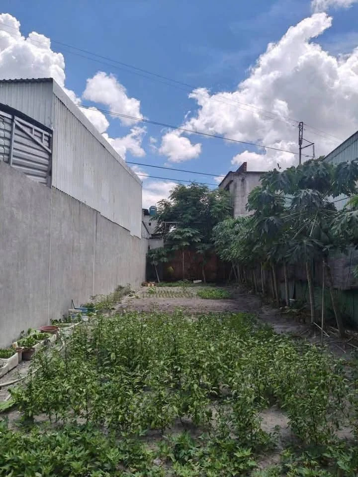 Bán lô đất Tân Phước Khánh 231m² mặt đường 2 tỷ 850 - Ảnh 1