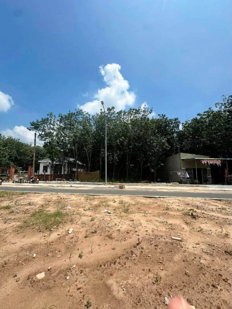 Bán lô đất 300m² mặt tiền đường Phường Long Nguyên, Bình Chánh - Ảnh thu nhỏ 3