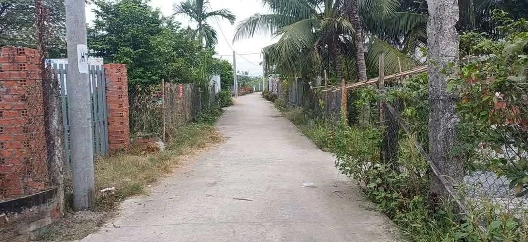 Bán đất nền 10×22m (220m²) ở Phước Văn, Long An - 1 tỷ 750 triệu - Ảnh thu nhỏ 3