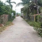 Bán đất nền 10×22m (220m²) ở Phước Văn, Long An - 1 tỷ 750 triệu - Ảnh thu nhỏ 3