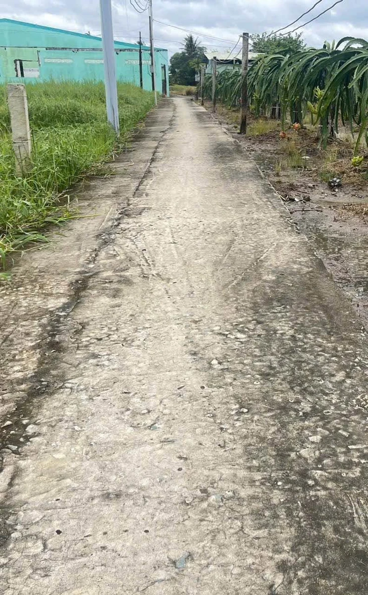 Bán đất thổ cư 5x42m (208m2) giá 450 triệu tại Xã Tầm Vu, Tây Ninh - Ảnh 1
