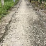 Bán đất thổ cư 5x42m (208m2) giá 450 triệu tại Xã Tầm Vu, Tây Ninh - Ảnh thu nhỏ 1