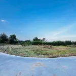 Bán lô đất nền 1000m2 ở Lâm Đồng giá 390 triệu - Ảnh thu nhỏ 4