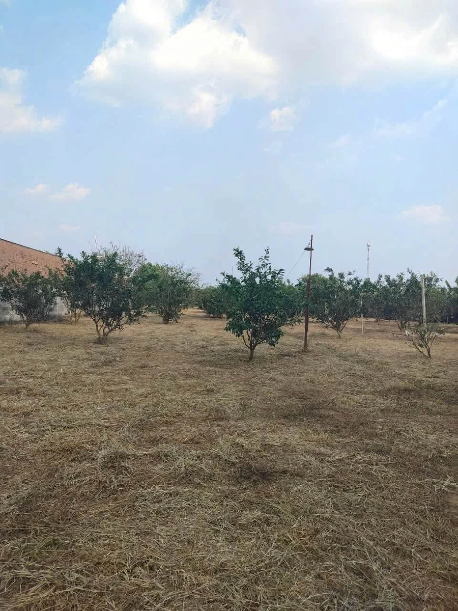 Bán nhà vườn 3700m² Tân Triều Đồng Nai - Ảnh thu nhỏ 4