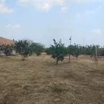 Bán nhà vườn 3700m² Tân Triều Đồng Nai - Ảnh thu nhỏ 4