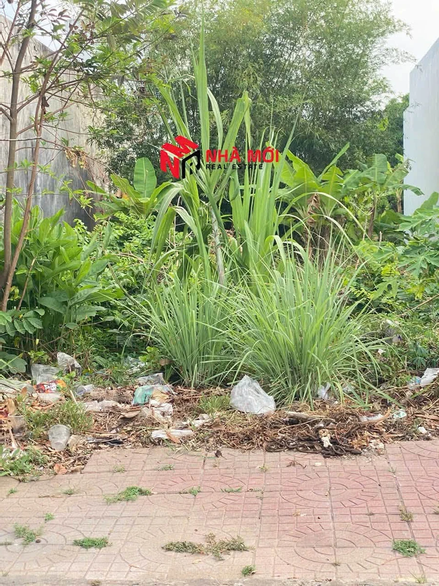 Bán cặp nền đất Lê Đức Thọ, Cà Mau, 266m², 1,3 tỷ - Ảnh thu nhỏ 4