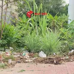 Bán cặp nền đất Lê Đức Thọ, Cà Mau, 266m², 1,3 tỷ - Ảnh thu nhỏ 4