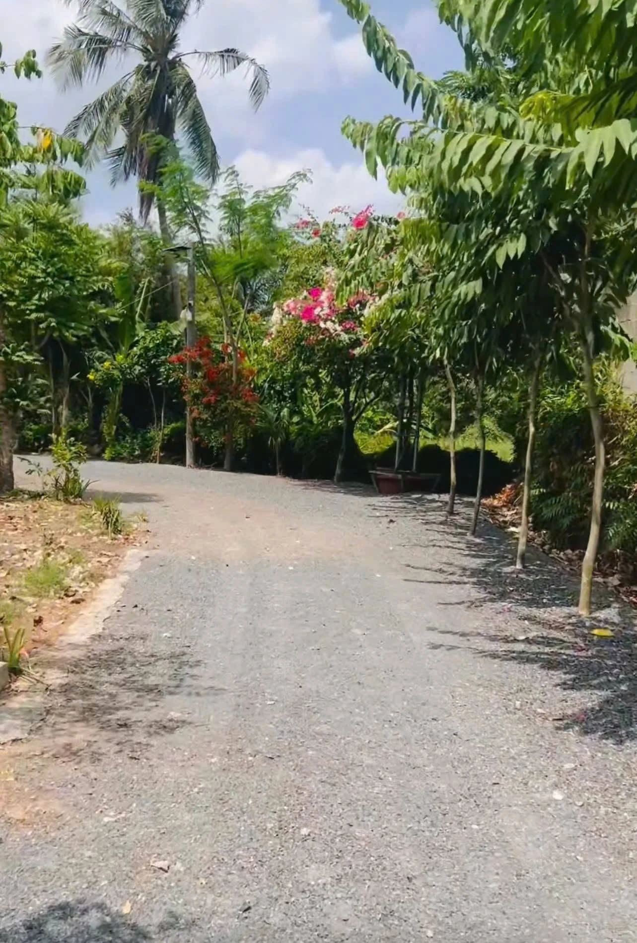 Bán đất thổ cư Mỹ Yên Bến Lức Long An 96.6m² - Ảnh 1