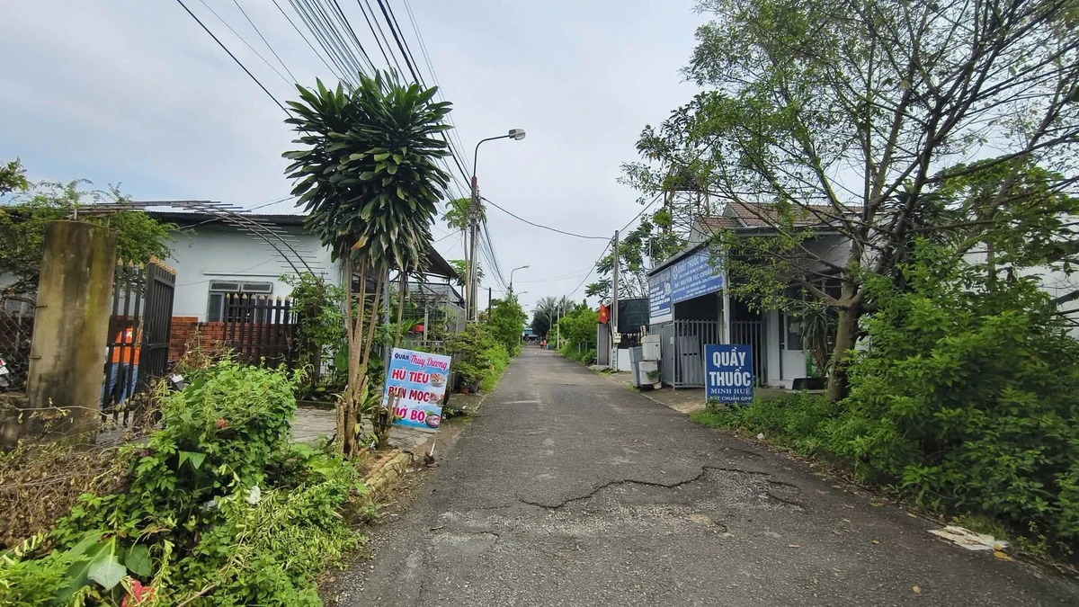 Bán đất Trảng Bom, Bàu Xéo, 156m², 1 tỷ 300 triệu - Ảnh thu nhỏ 2