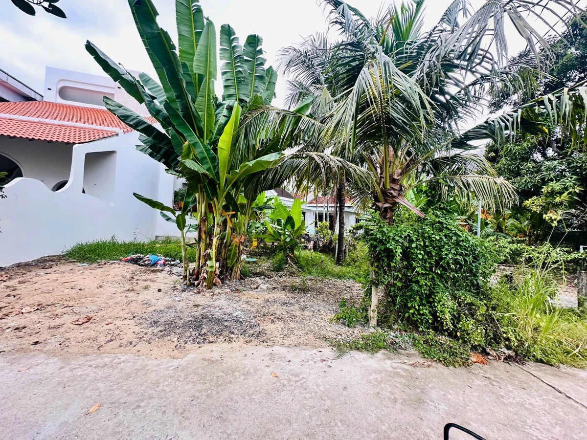 Bán đất 125m² Diên An Nhà Bè, 1 tỷ 600 - Ảnh thu nhỏ 5