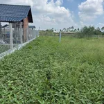Bán đất 1100m2 có sẵn ao cá, đường ô tô, xã Tầm Vu, Tây Ninh - Ảnh thu nhỏ 3