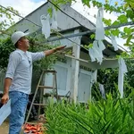 Bán đất 1300m² Hưng Thịnh Đồng Nai giá 2,4 tỷ - Ảnh thu nhỏ 4