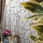 Bán nhà 3 phòng ngủ 52m² Đống Đa Đà Nẵng 3,95 tỷ - Ảnh thu nhỏ 2