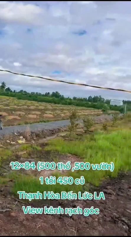 Bán đất thổ vườn Bến Lức Long An 1.000m² 1 tỷ 450 triệu
