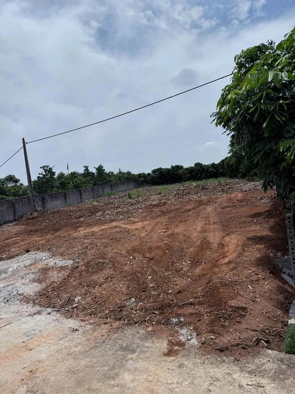Bán đất mặt tiền 8m diện tích 240m² Phường Chũ chỉ hơn 600 triệu