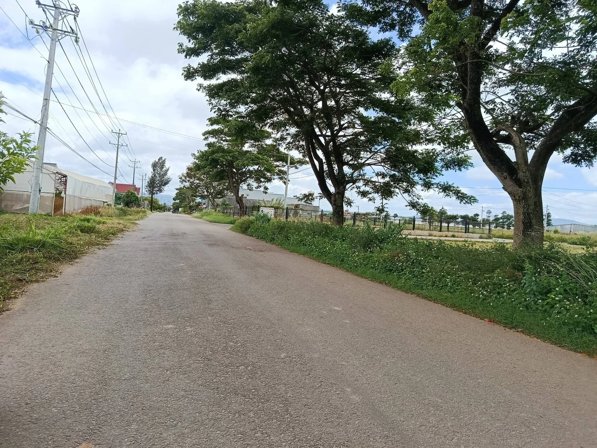 Bán lô đất 2 mặt đường Phạm Ngọc Thạch, Đơn Dương, 140m² - 1.5 tỷ - Ảnh thu nhỏ 2
