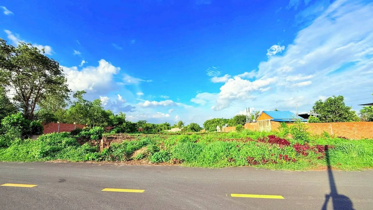 Bán đất biển Phước Hải 5000m2 giá 8 tỷ 500 - Ảnh thu nhỏ 3