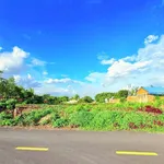 Bán đất biển Phước Hải 5000m2 giá 8 tỷ 500 - Ảnh thu nhỏ 3