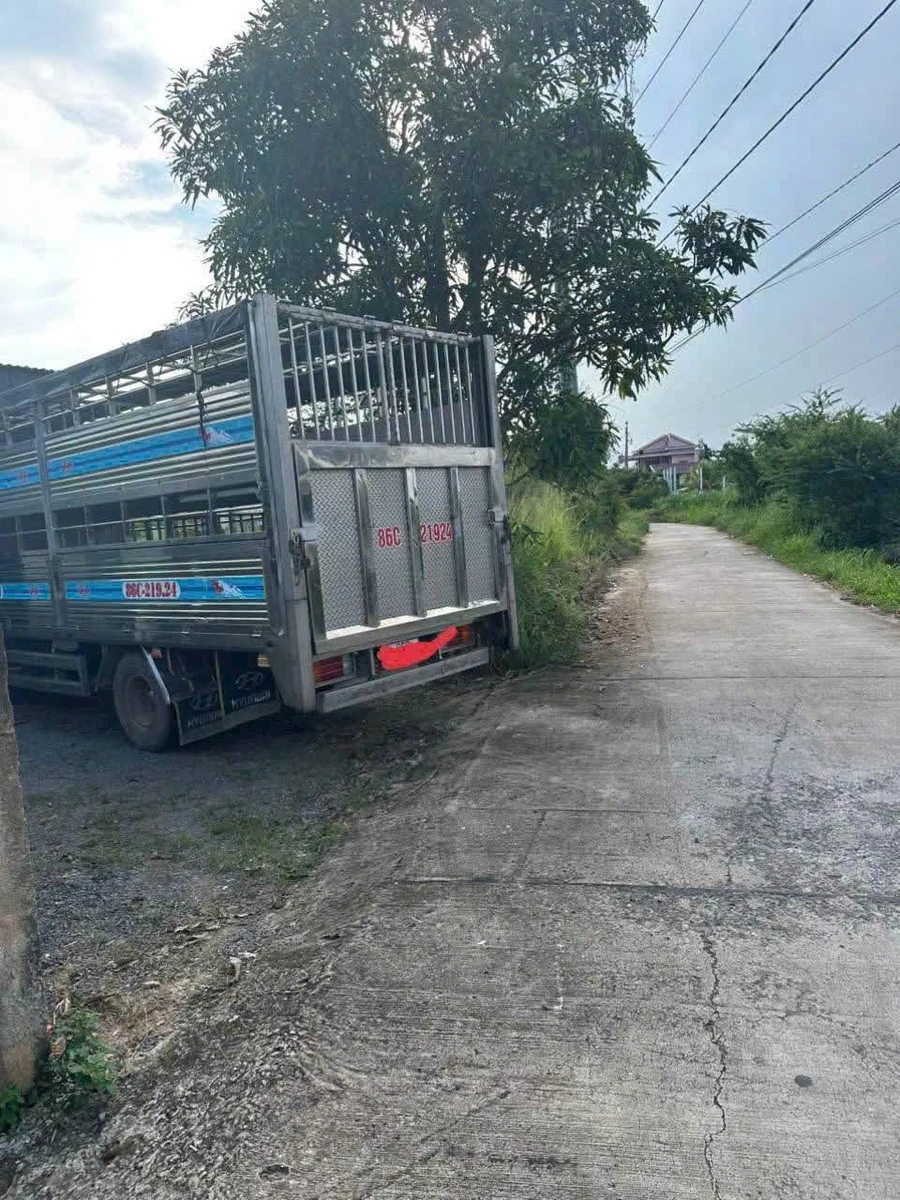 Bán đất 210m2 có nhà cấp 4 Hàm Mỹ Phan Thiết - Ảnh thu nhỏ 2