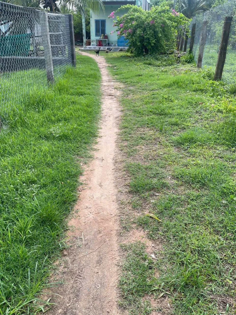 Bán lô đất 753,9m² góc 3 mặt đường Hàm Liêm - Ảnh thu nhỏ 4