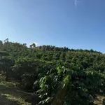Bán đất 1.4ha Thôn 3 Trường Xuân giá 3.2 tỷ - Ảnh thu nhỏ 2
