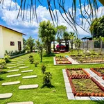 Bán nhà vườn 1.606m² Phan Thiết 1 tỷ 790 triệu - Ảnh thu nhỏ 2