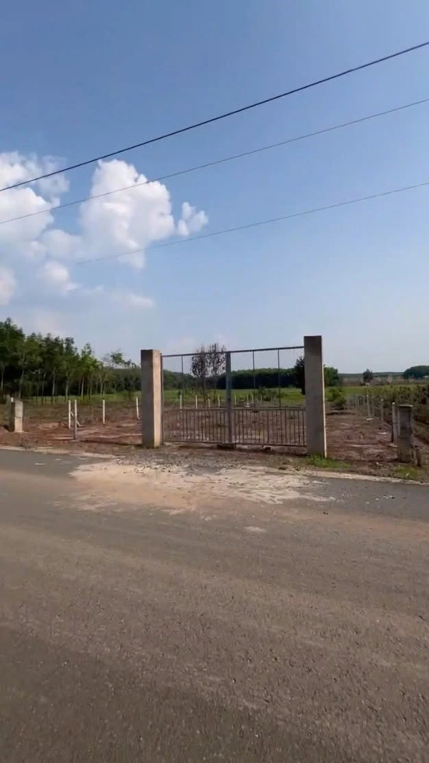 Bán đất view hồ 15x65m, mặt tiền đường nhựa, sổ sẵn - Ảnh thu nhỏ 3