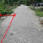 Bán đất KCN Giao Long 110m² 450 triệu - Ảnh thu nhỏ 1