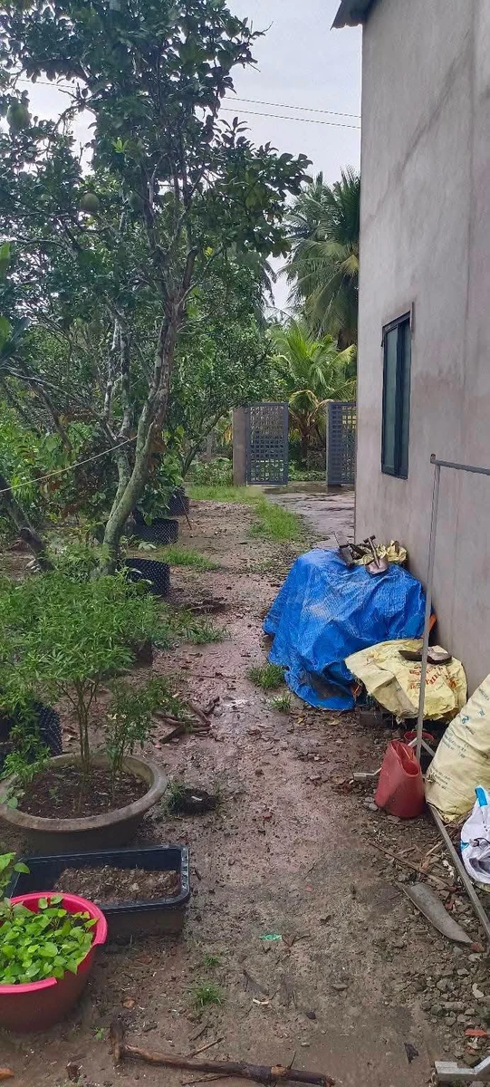 Bán nhà mới xây 500m² 3 phòng ngủ Bình Phú - Ảnh thu nhỏ 3