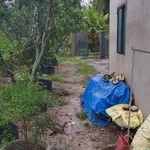 Bán nhà mới xây 500m² 3 phòng ngủ Bình Phú - Ảnh thu nhỏ 3
